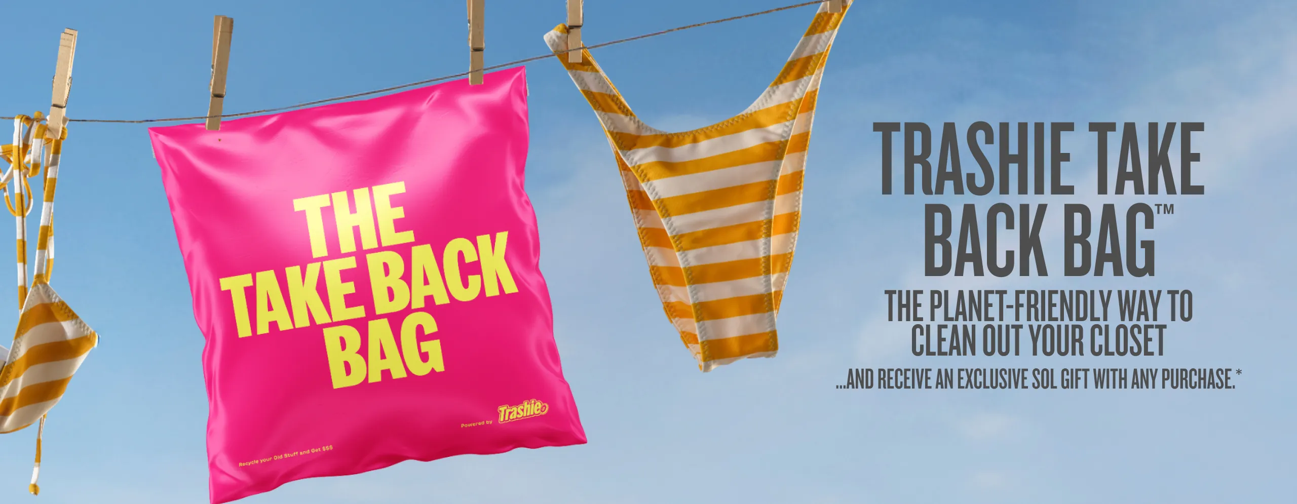 Take Back Bag banner